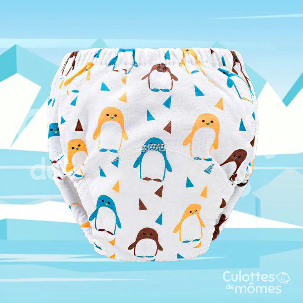 Les Culottes d'apprentissage 👶🏼 - antino